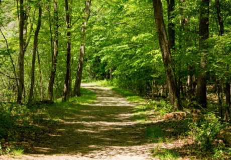 Understanding your Call, Choosing the Path